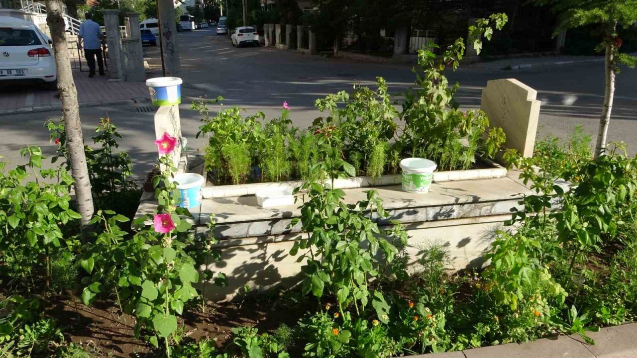 Beş yolun ortasındaki mezar birçok rivayetle anılıyor