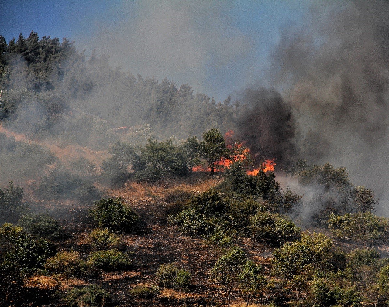 Kahramanmaraş’ta orman yangını kontrol altına alındı