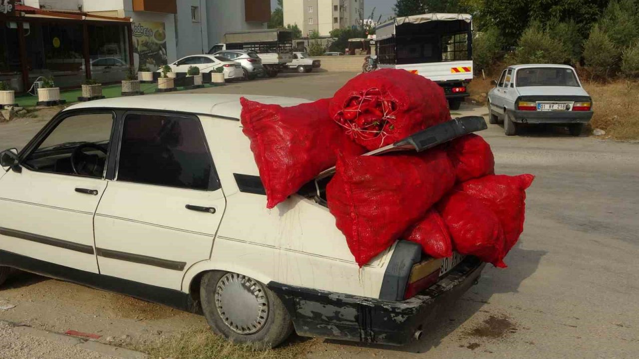 Biberin meşakkatli salça yolculuğu başladı