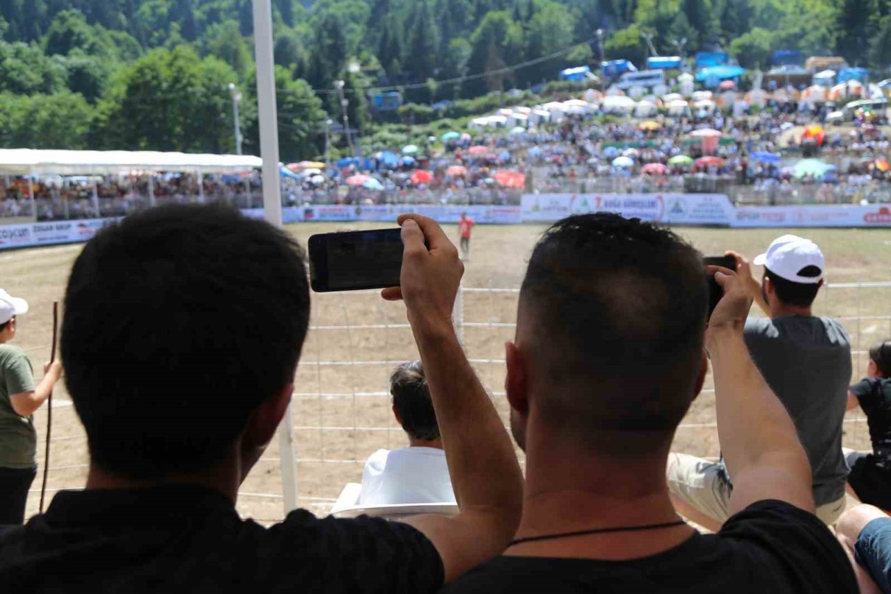 Artvin’de boğalar bu kez Türkiye şampiyonluğu için kapıştı