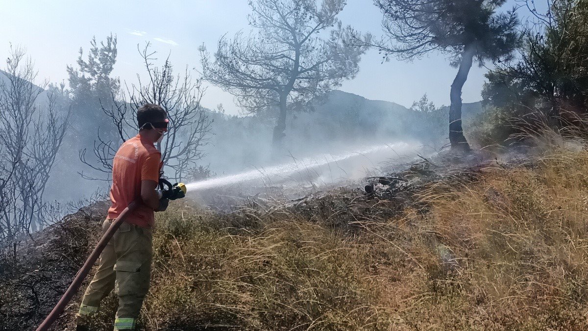 Arazide çıkan yangın ağaçlık alana sıçradı, 8 dönüm yer kül oldu