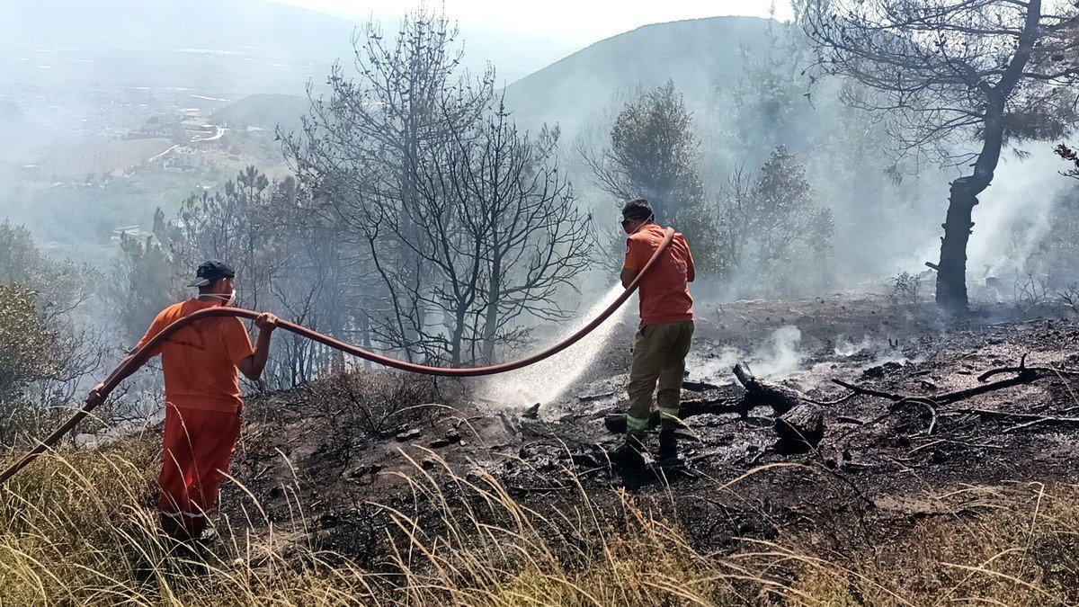 Arazide çıkan yangın ağaçlık alana sıçradı, 8 dönüm yer kül oldu