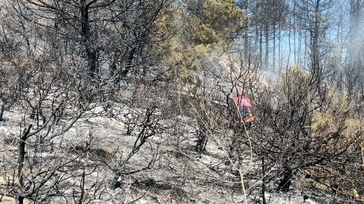 Arazide çıkan yangın ağaçlık alana sıçradı, 8 dönüm yer kül oldu