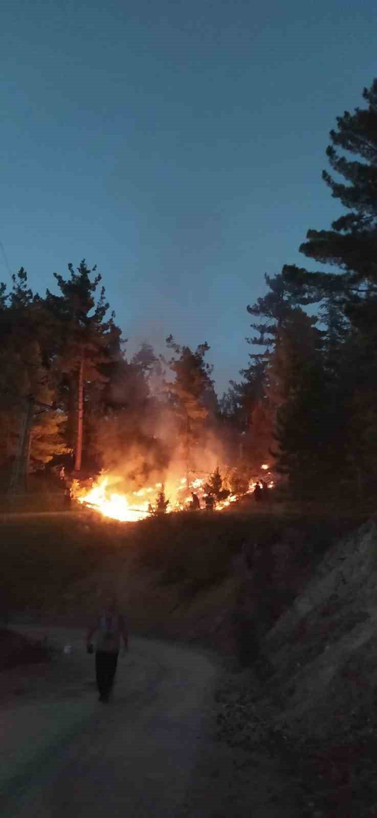 Feke de Orman Yangını