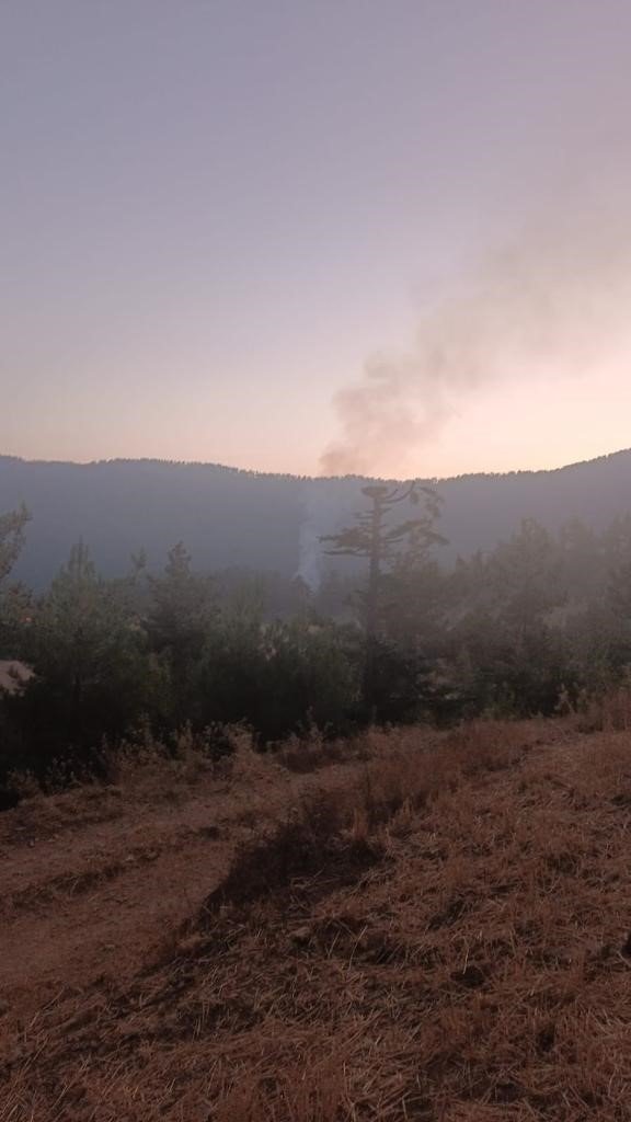 Feke de Orman Yangını