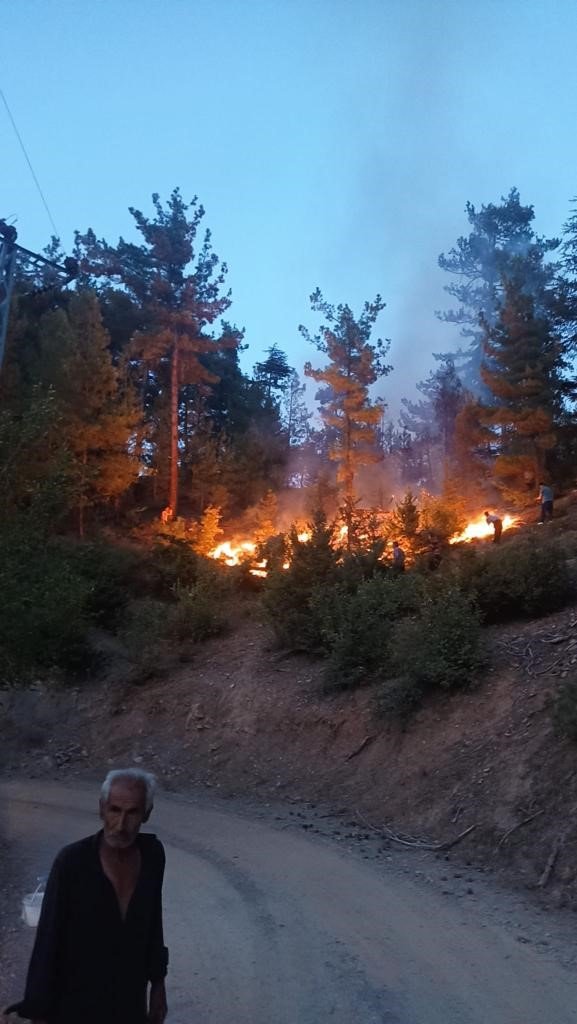 Feke de Orman Yangını