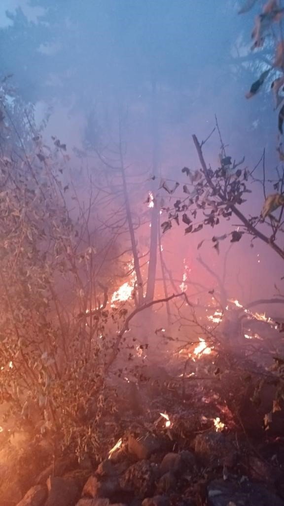 Feke de Orman Yangını