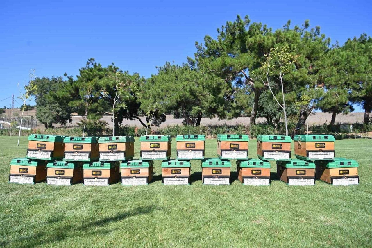 Balıkesir Büyükşehir kırsalda üreticinin yanında