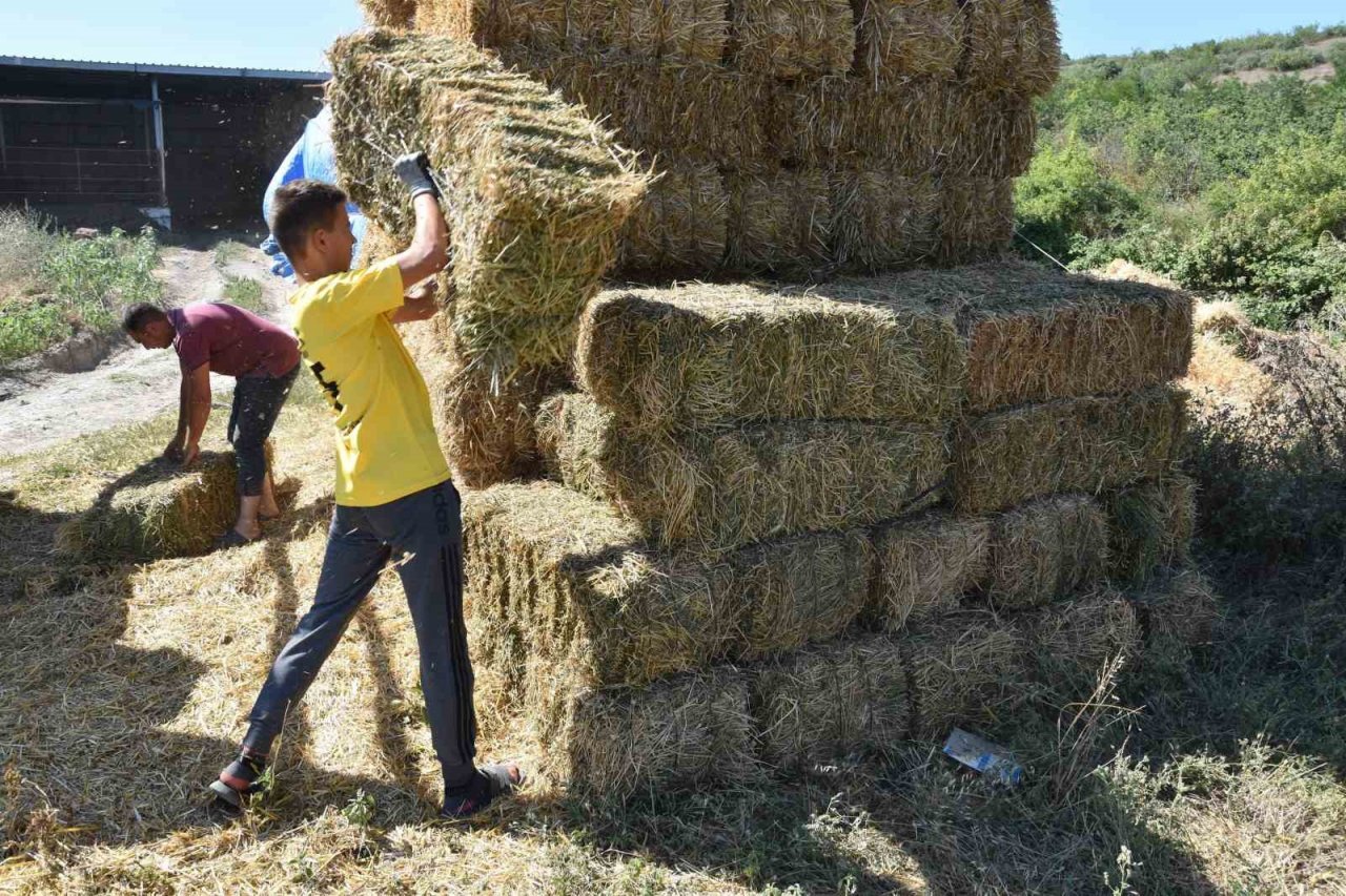 Balıkesir Büyükşehir kırsalda üreticinin yanında