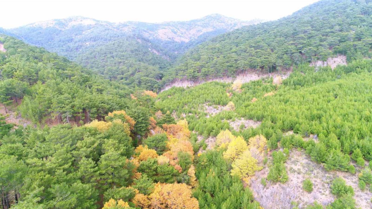 Balıkesir Büyükşehir kırsalda üreticinin yanında