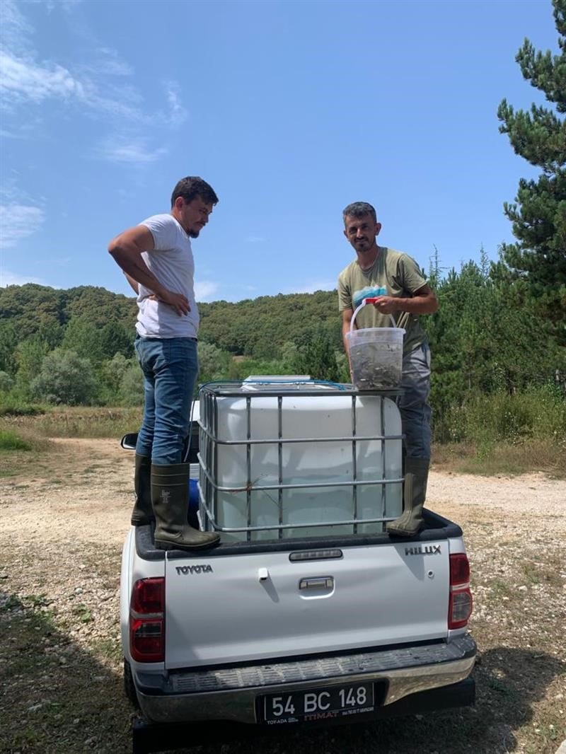 Bolu’dan Sakarya’ya 400 bin yavru pullu sazan balığı gönderildi