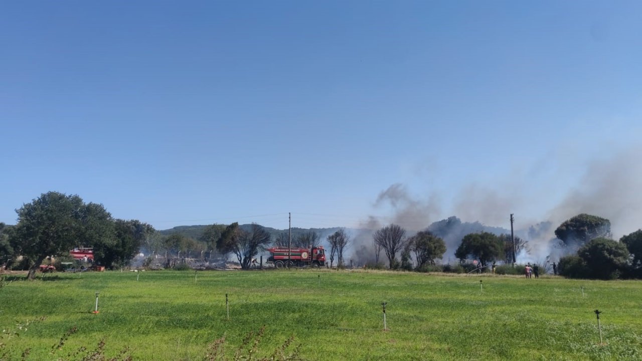 Ayvacık’ta ziraat alanında çıkan yangın kontrol altına alındı