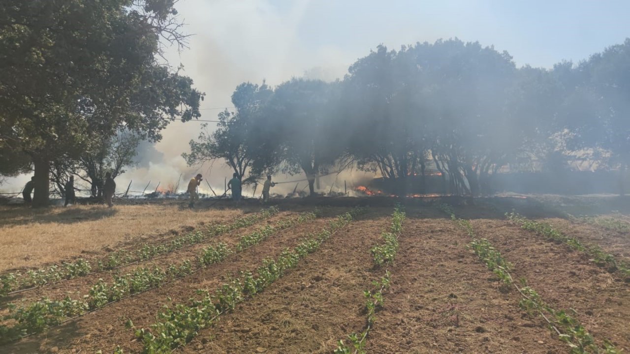 Ayvacık’ta ziraat alanında çıkan yangın kontrol altına alındı