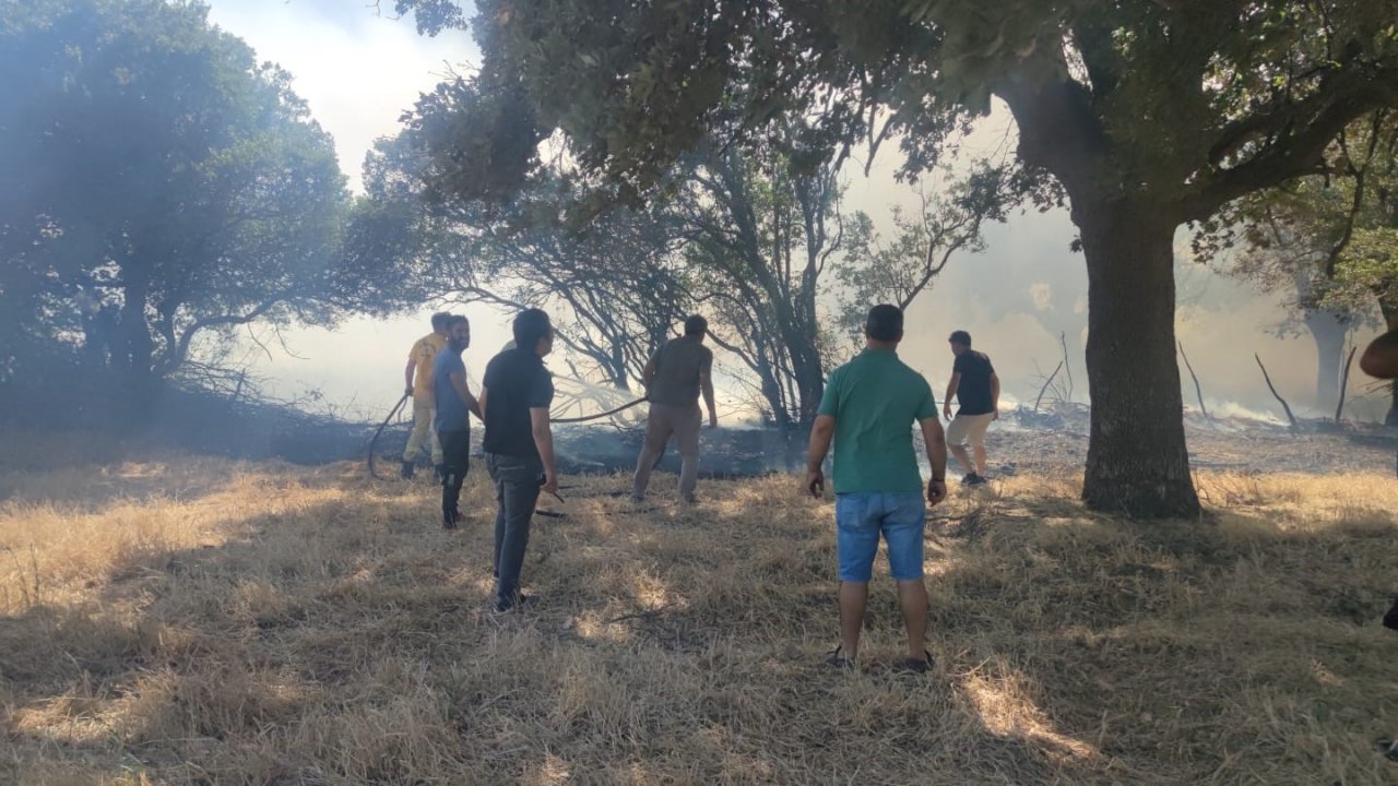 Ayvacık’ta ziraat alanında çıkan yangın kontrol altına alındı