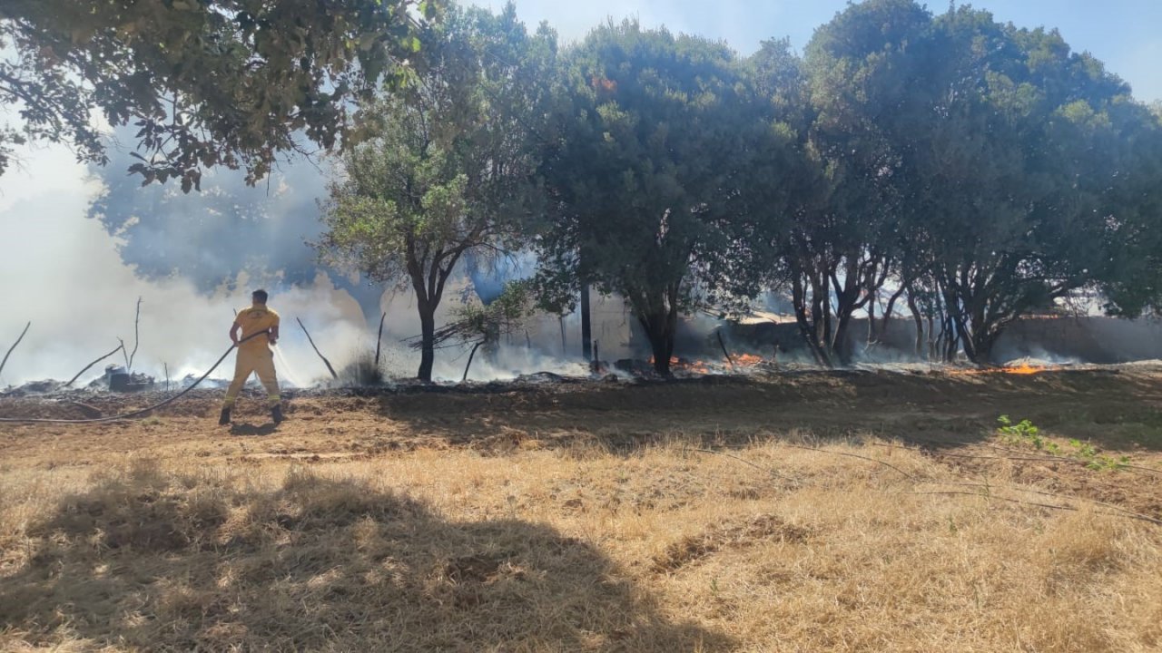 Ayvacık’ta ziraat alanında çıkan yangın kontrol altına alındı