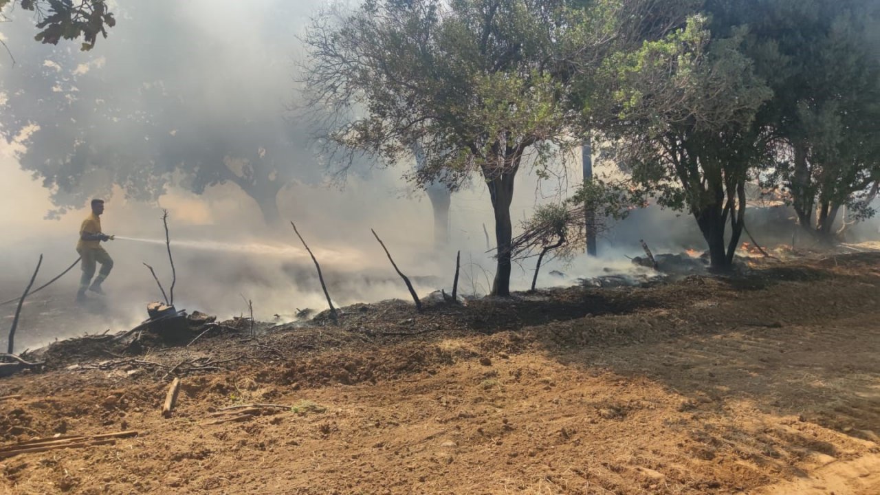 Ayvacık’ta ziraat alanında çıkan yangın kontrol altına alındı
