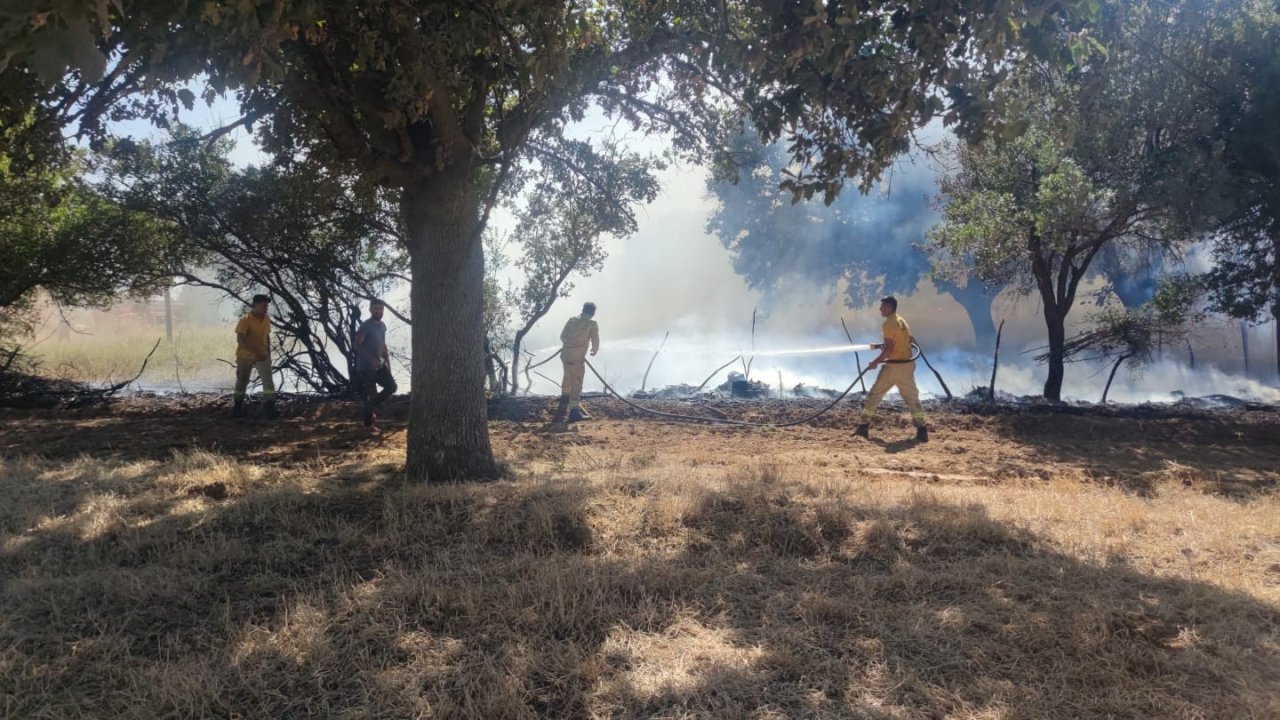 Ayvacık’ta ziraat alanında çıkan yangın kontrol altına alındı