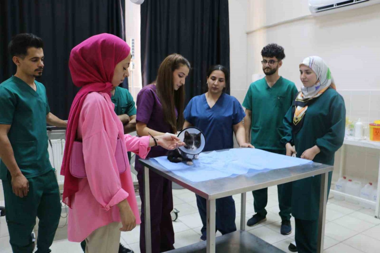 Bir sene içinde 6 ameliyat geçiren ’Duman’, ampute edilerek yaşamını sürdürüyor