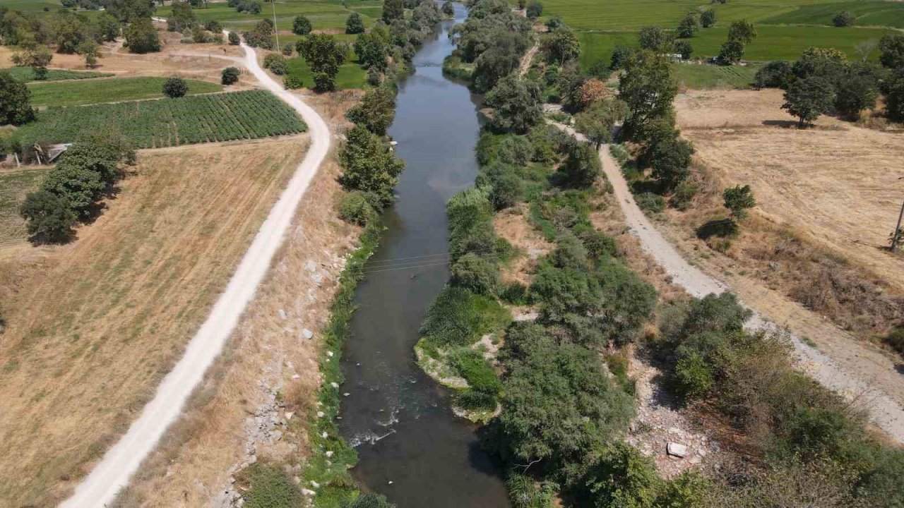Pirincin başkentinde çevre katliamı