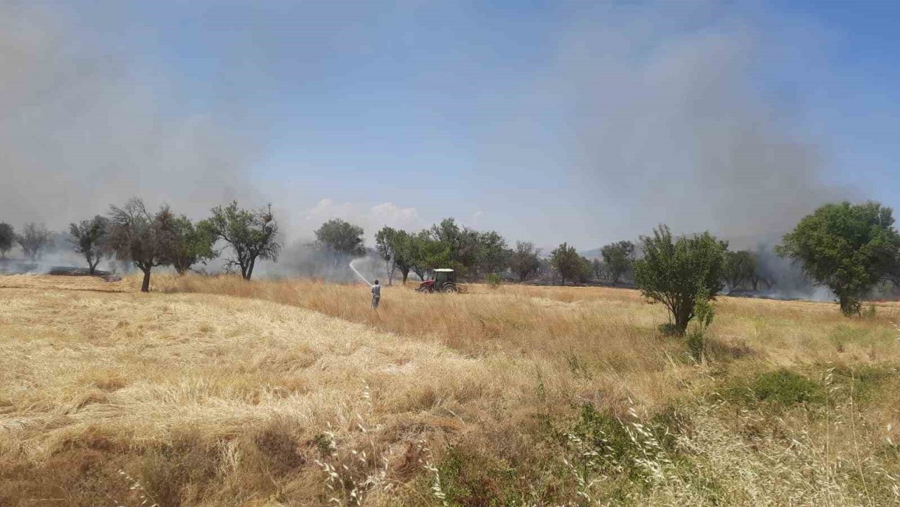 Konya’da arpa ekili tarladaki yangında badem ağaçları zarar gördü