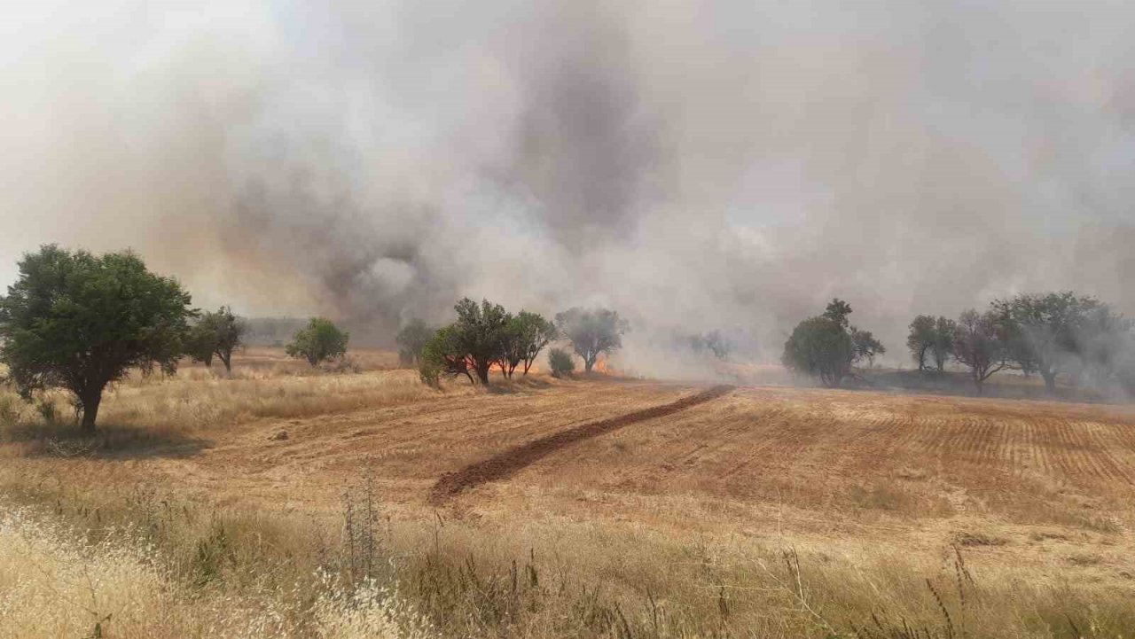 Konya’da arpa ekili tarladaki yangında badem ağaçları zarar gördü