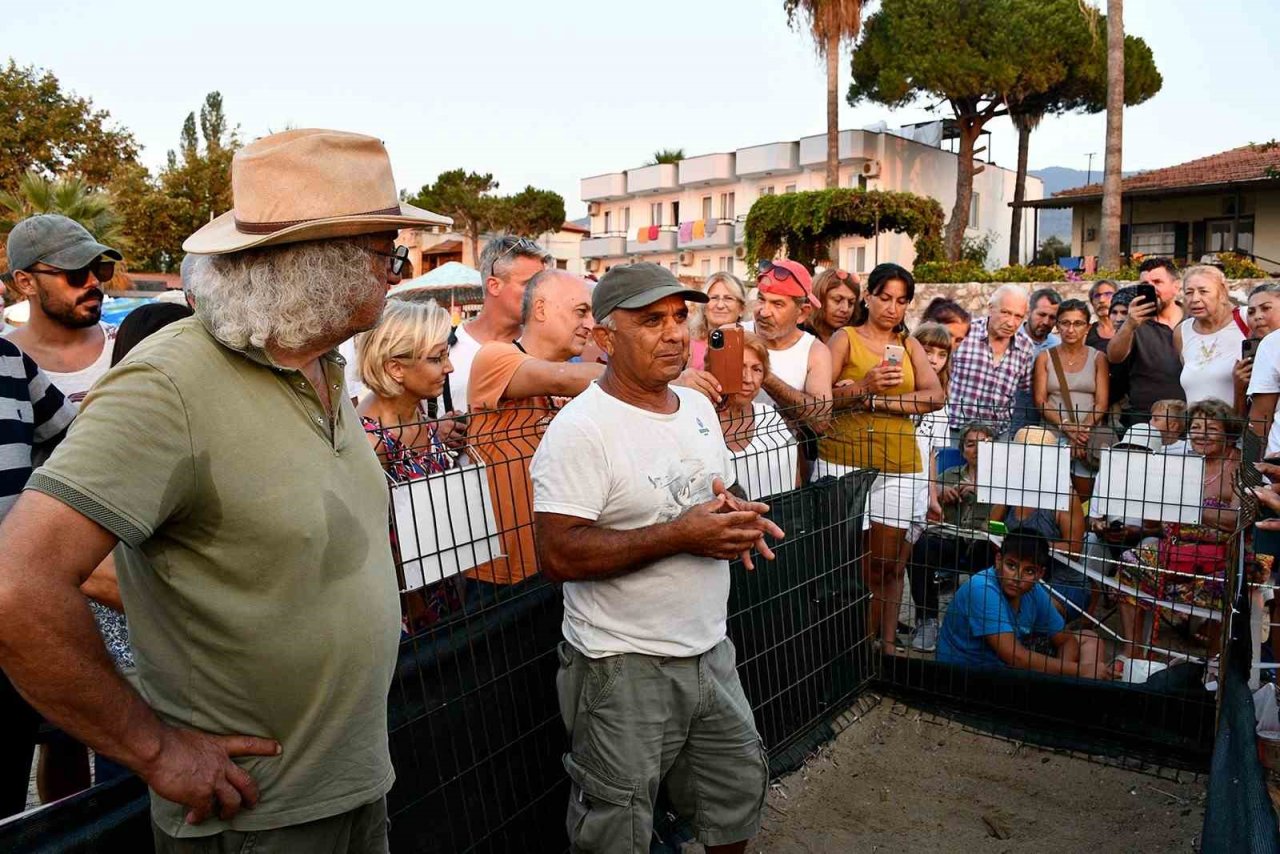 Kuşadası’nda 33 caretta caretta yavrusu denizle buluştu