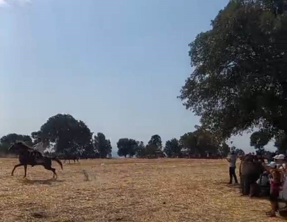 Selendi 3. Ovacık Şenlikleri renkli görüntülere sahne oldu