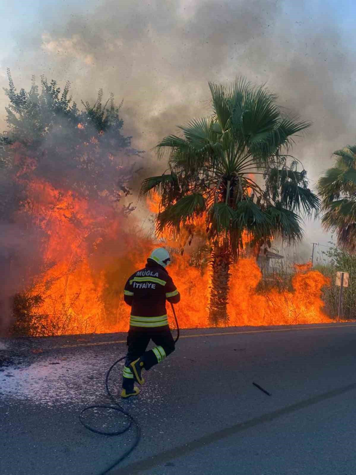 Araçta başlayan yangın ağaçlara sıçradı
