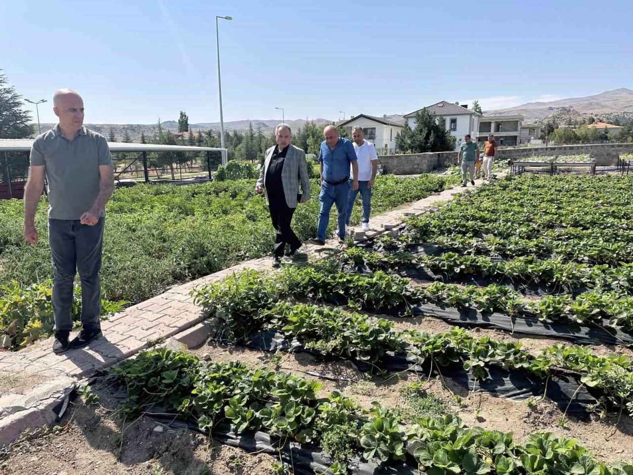 Talas’ta Deneme Bahçeleri Model Oluyor