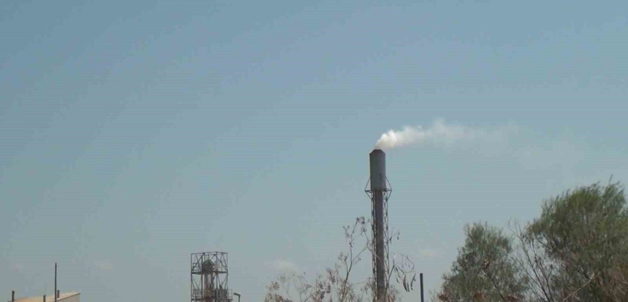 Pirincin başkentinde çevre katliamı