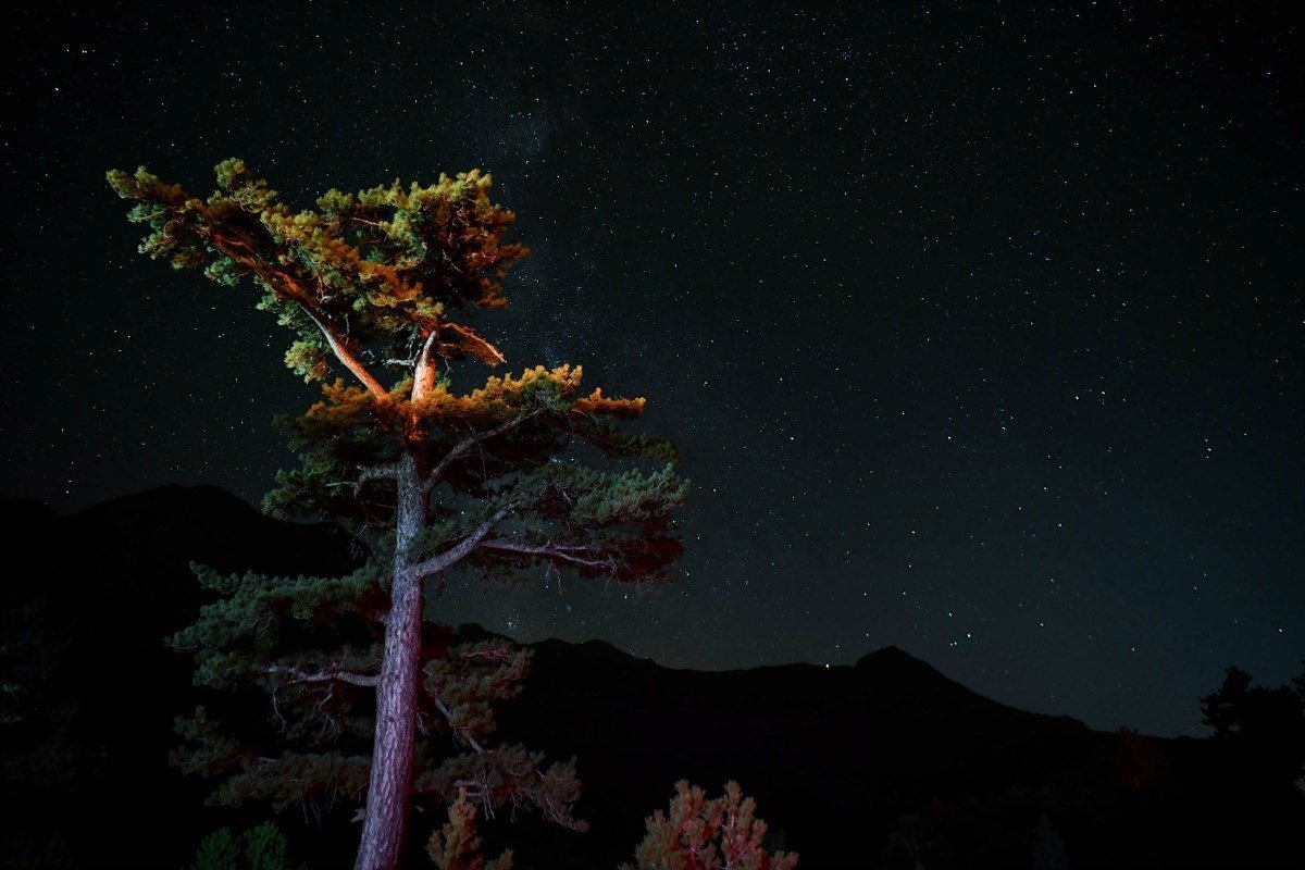 Türkiye’nin en karanlık noktasında Gökyüzü Gözlem Şenliği