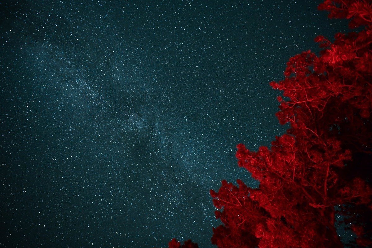 Türkiye’nin en karanlık noktasında Gökyüzü Gözlem Şenliği