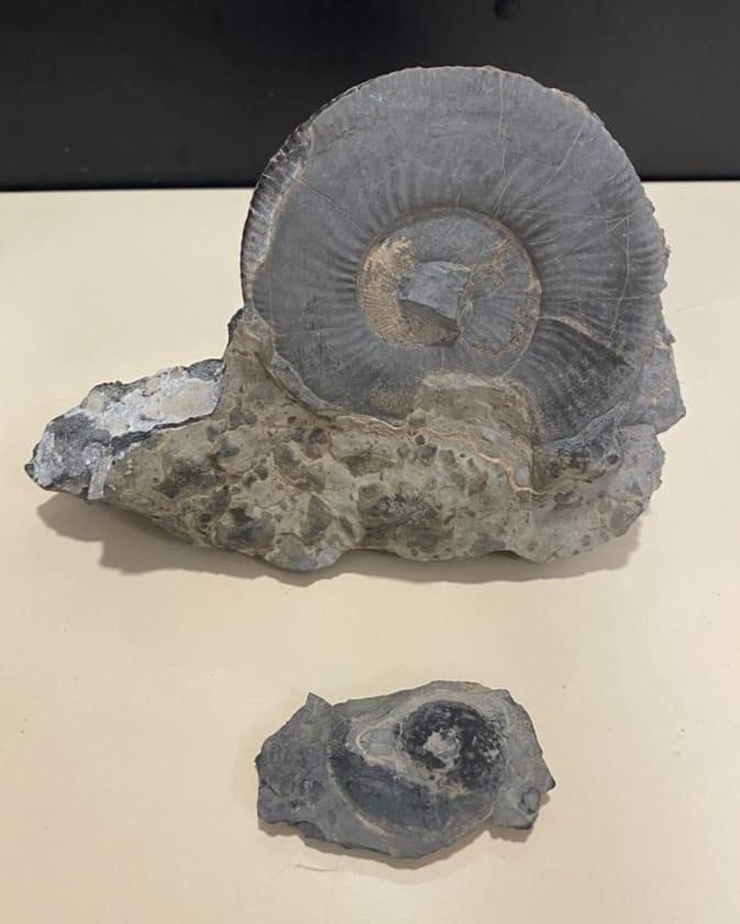 Van’da gümrük kaçağı malzemeler ele geçirildi