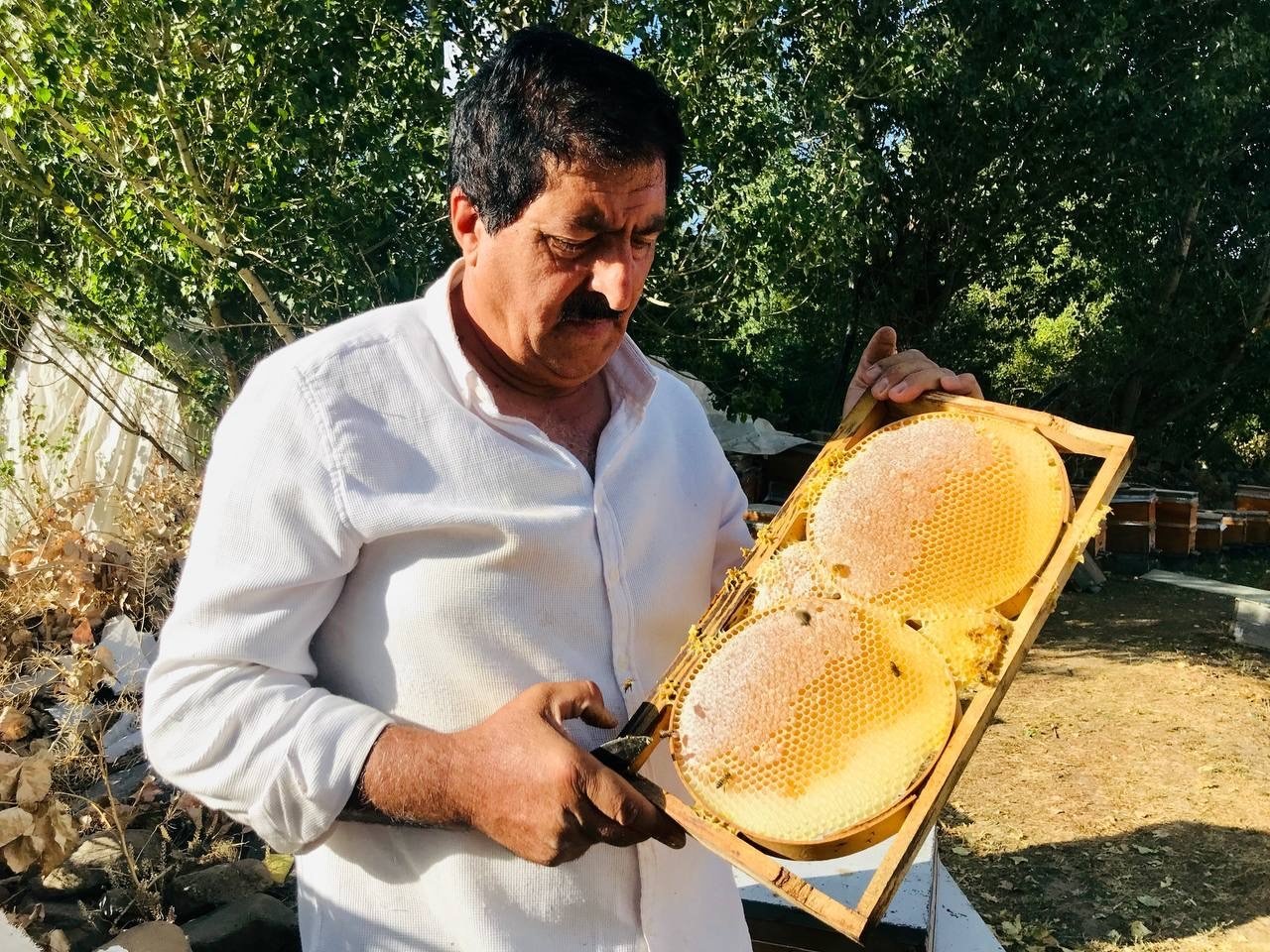 Merakla başladığı arıcılıkta, 70 kovandan binlerce kilo "Gülbal" üretiyor