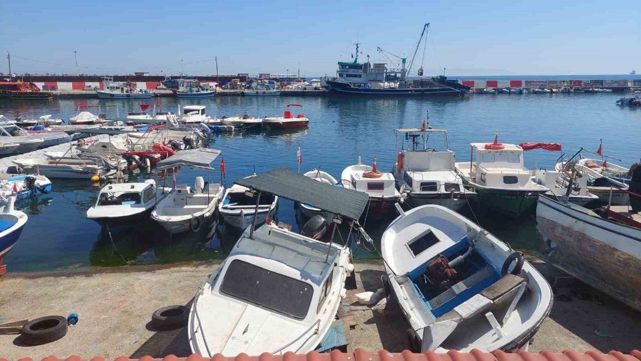 Tayfalarda 1 Eylül heyecanı: Hamsi ve lüfer bolluğu bekleniyor