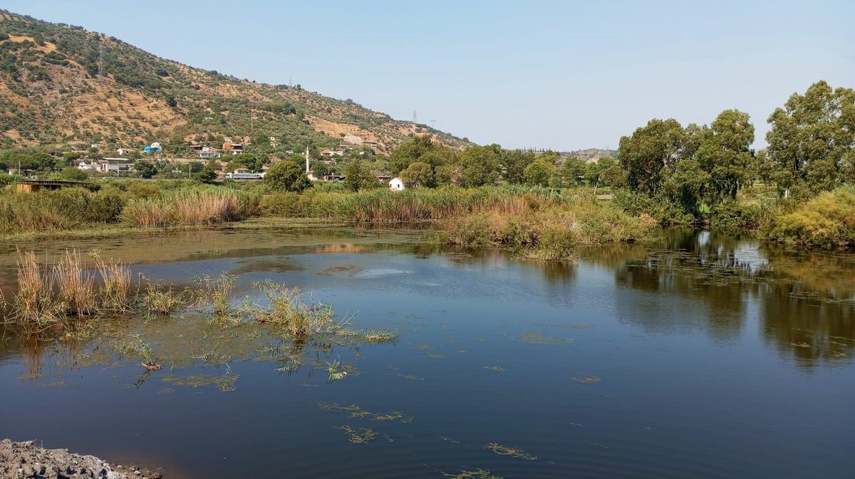 Başkan Sürücü: “Sulak alanların doldurulması derhal durdurulmalıdır”