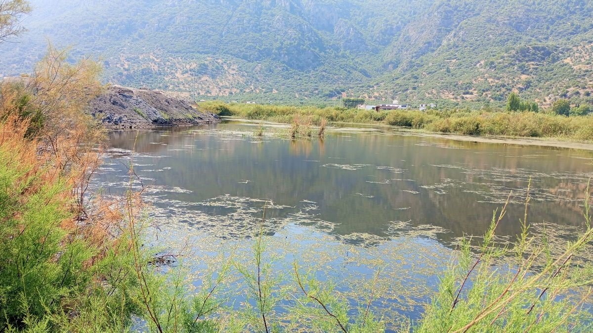 Başkan Sürücü: “Sulak alanların doldurulması derhal durdurulmalıdır”