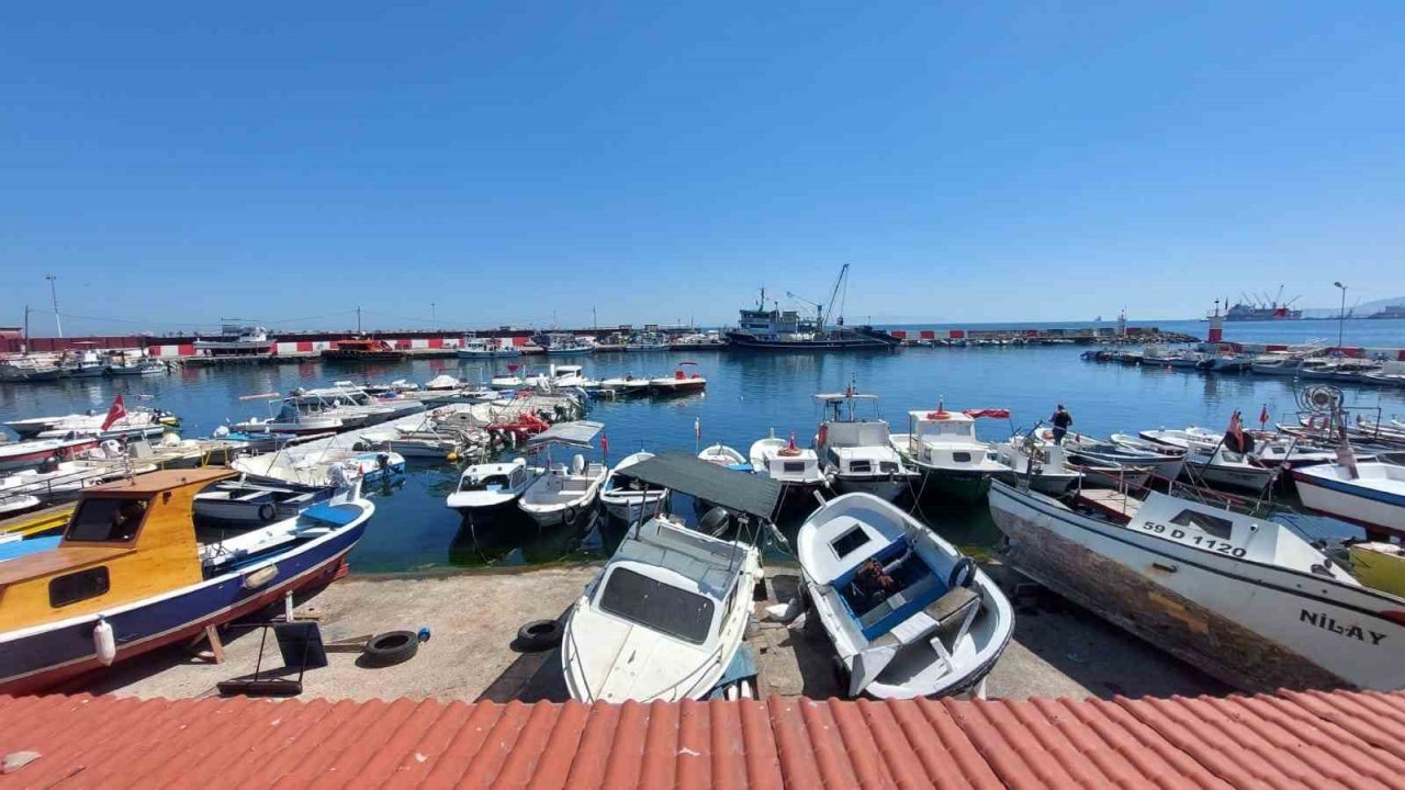 Tayfalarda 1 Eylül heyecanı: Hamsi ve lüfer bolluğu bekleniyor