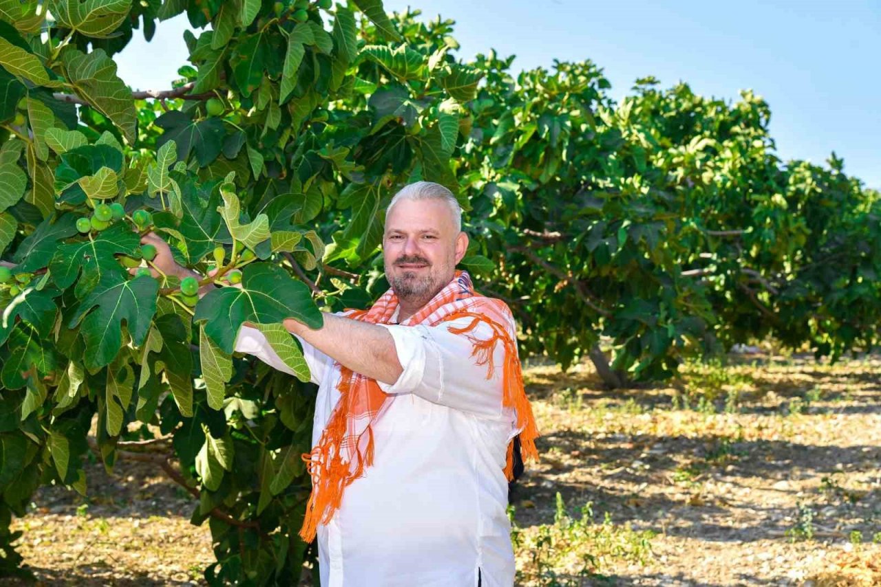 Bozalan İncir Festivali coşkusu Menemen’i saracak