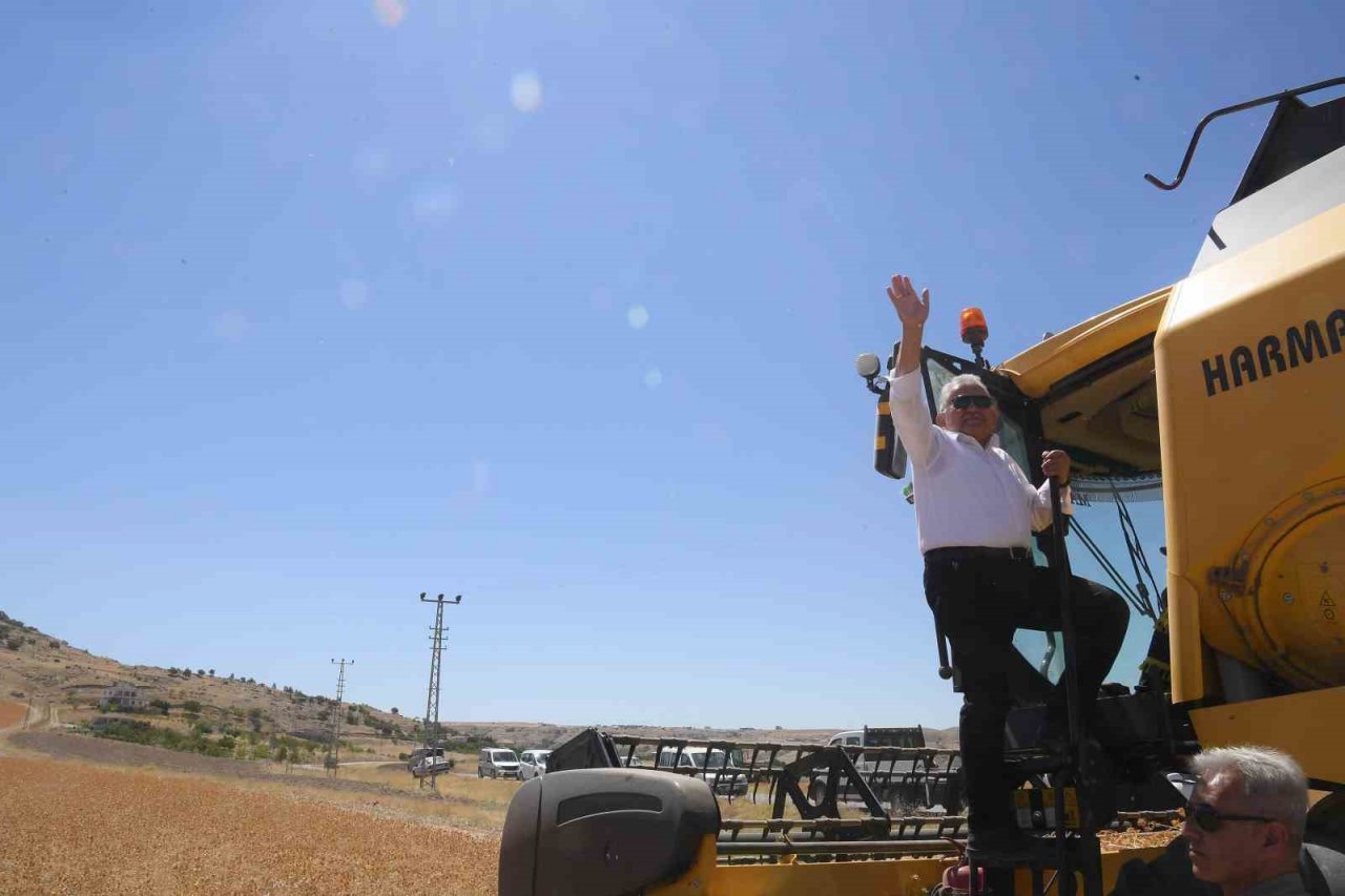 Kayseri’de aspir hasadı başladı