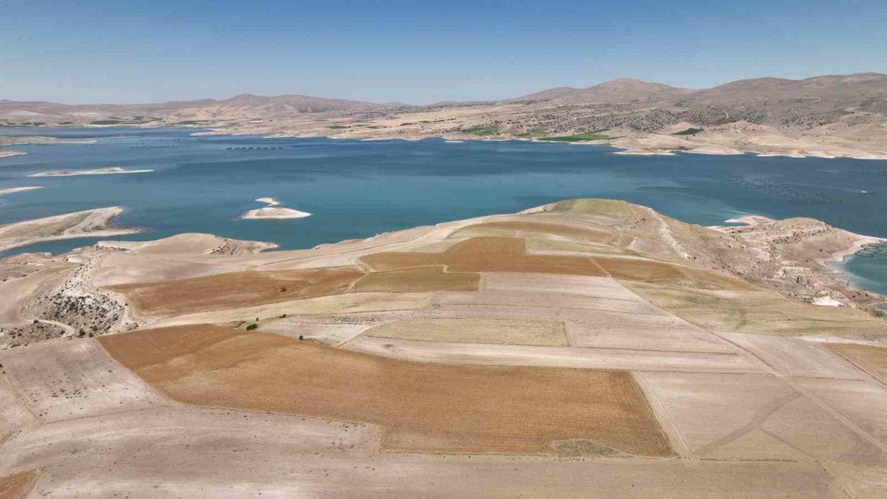 Kayseri’de aspir hasadı başladı