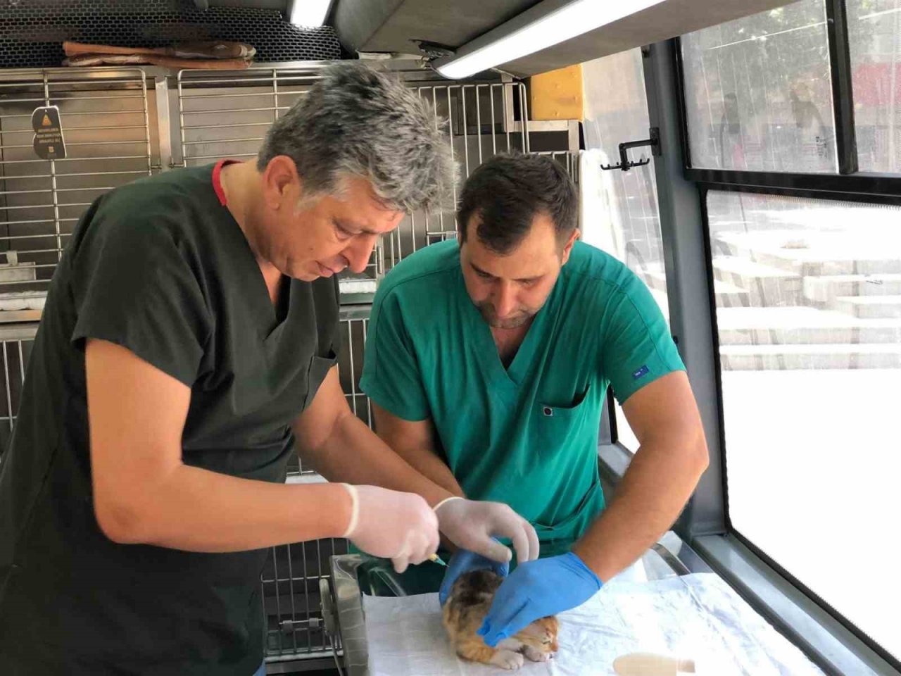 Büyükşehir, sokak hayvanları için var gücüyle çalışıyor