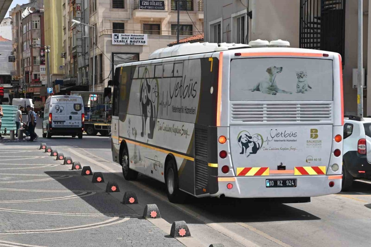 Büyükşehir, sokak hayvanları için var gücüyle çalışıyor