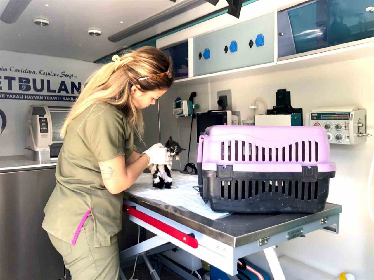 Büyükşehir, sokak hayvanları için var gücüyle çalışıyor