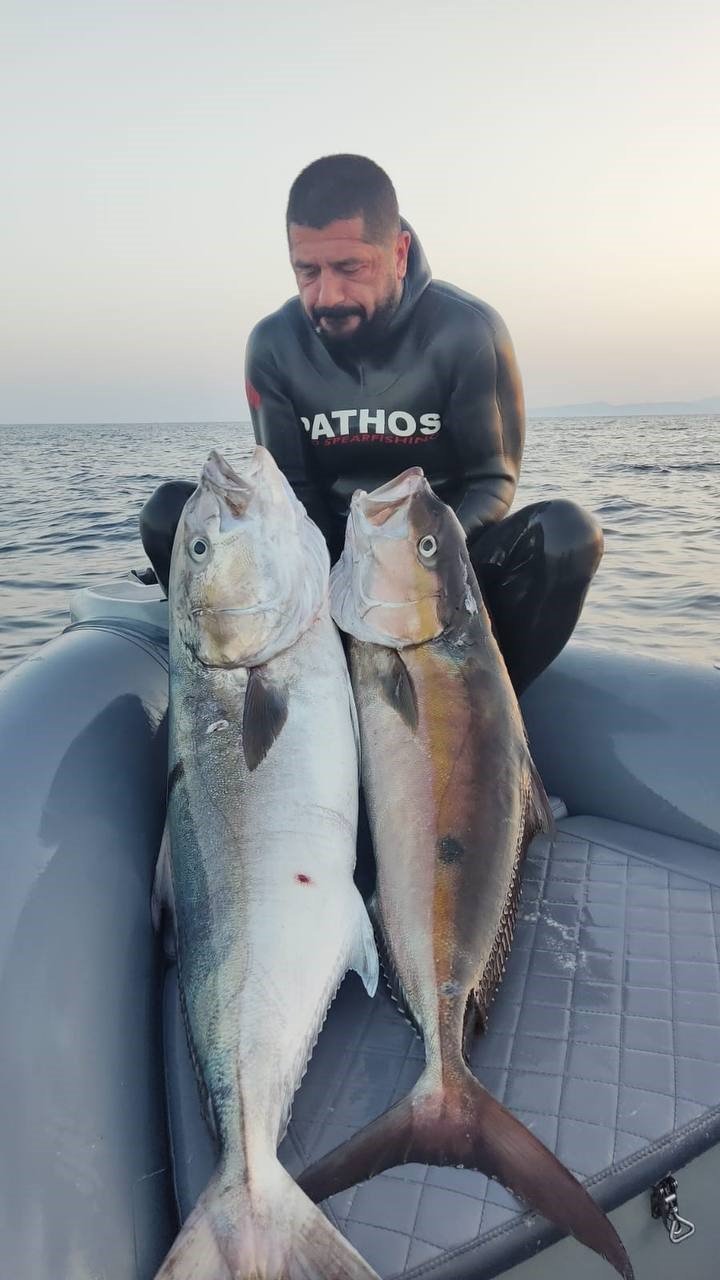 Saros Körfezi’nde zıpkınla 22 kiloluk akya avladı