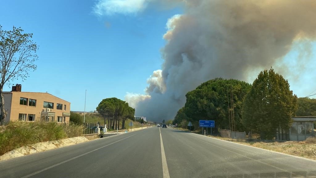 Çanakkale’de orman yangını