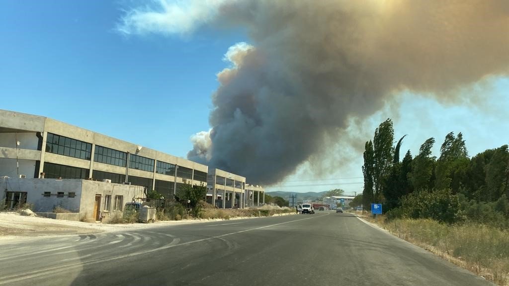 Çanakkale’de orman yangını