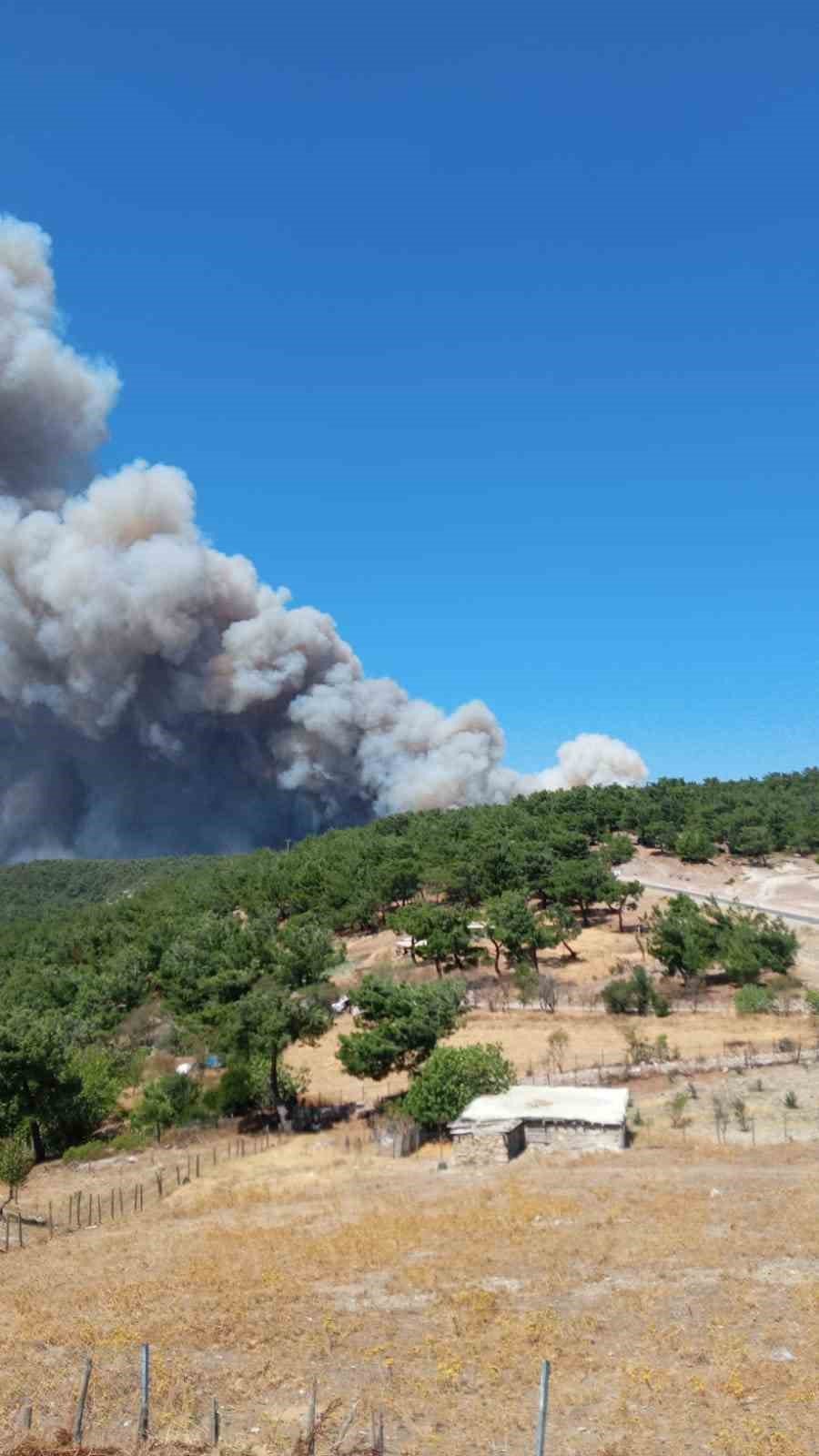 Çanakkale’de orman yangını