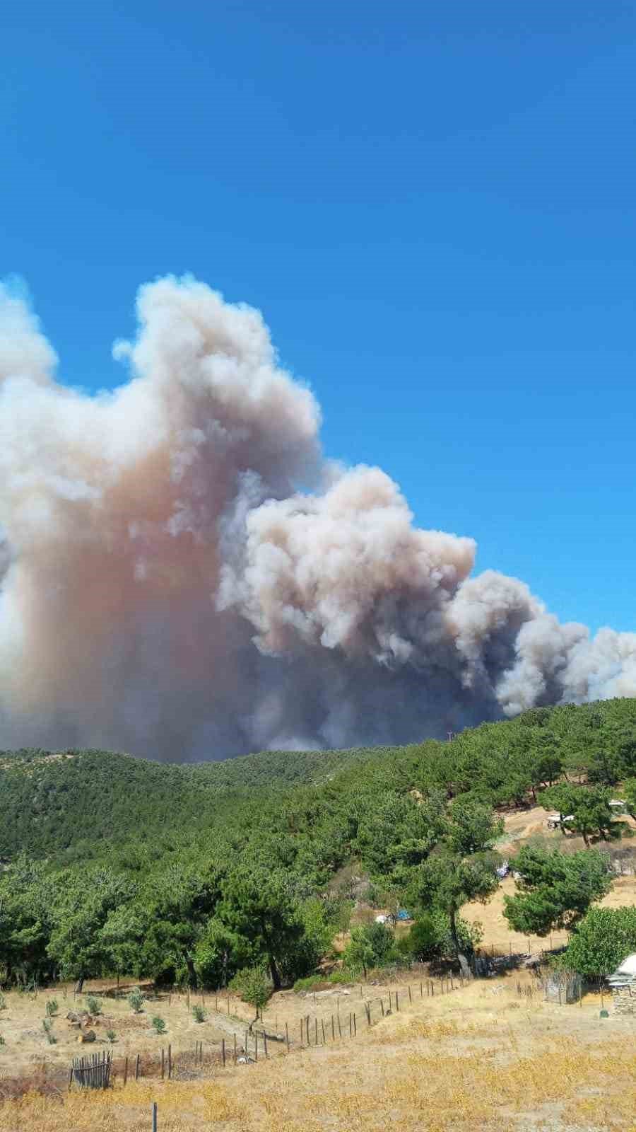 Çanakkale’de orman yangını
