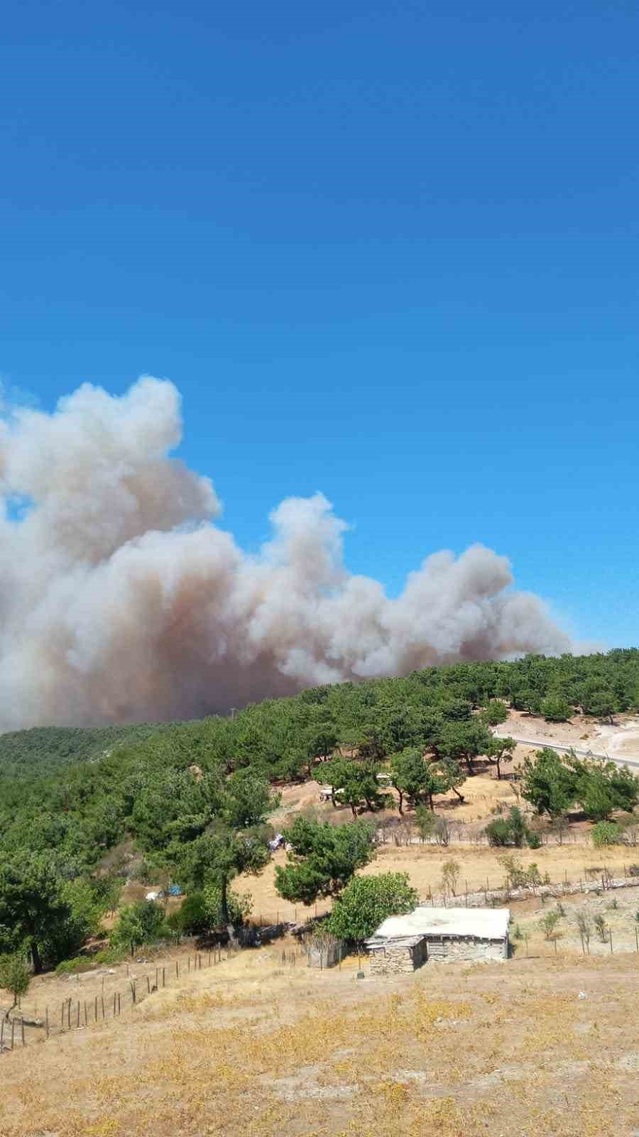 Çanakkale’de orman yangını